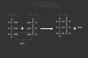 triglyceriden moleculair skelet- chemisch formule vector