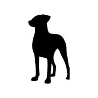 vector silhouet van hond op witte achtergrond.