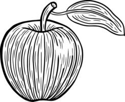 appel fruit hand- getrokken gegraveerde schetsen tekening vector