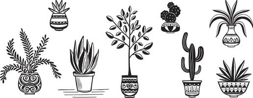 binnen- en buitenshuis tuin planten in pot hand- getrokken vector illustratie