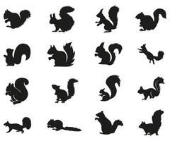 eekhoorn verzameling silhouet, zoogdier dieren in het wild dier, vector illustratie