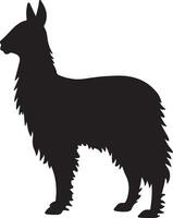 lama silhouet vector illustratie wit achtergrond