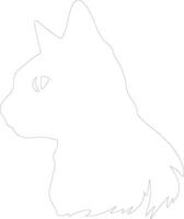 Europese kort haar kat schets silhouet vector