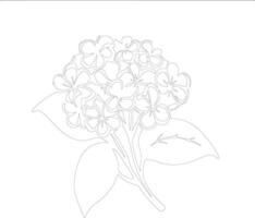 ai gegenereerd hortensia schets silhouet vector