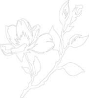 ai gegenereerd magnolia schets silhouet vector
