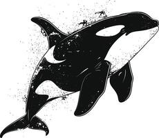 ai gegenereerd silhouet de orka of moordenaar walvis zwart kleur enkel en alleen vector