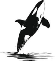 ai gegenereerd silhouet de orka of moordenaar walvis zwart kleur enkel en alleen vector