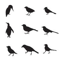 9 vogel silhouet premie vector reeks