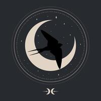 hemel- embleem met een slikken vogel en halve maan. Martin vogel silhouet Aan halve manen en sterren achtergrond. vector illustratie