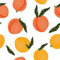 naadloos patroon van perzik en abrikoos vruchten. zomer tropisch atmosfeer met wit achtergrond voor hedendaags stoffen, textiel. vector. vector