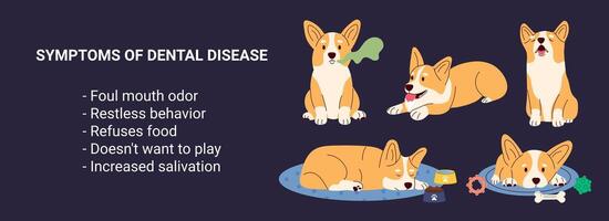 banier infographic symptomen van tandheelkundig problemen hond vector