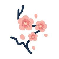 sakura bloemen tak boom vector