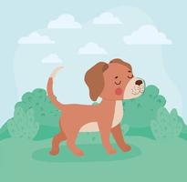 bruine hond illustratie vector