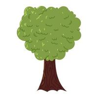 groen boomvarenblad vector