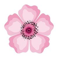 geïsoleerde roze bloem vector design