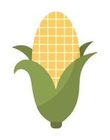 maïs van een gele kleur met een witte achtergrond vector