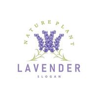 lavendel logo elegant Purper bloem fabriek illustratie bloemen ornament ontwerp vector