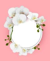 verticaal uitnodiging banier met wit orchidee bloemen Aan roze achtergrond.. vector