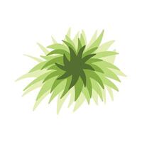 groen gras bladeren. natuur decoratie vector