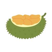 durian fruit icoon. Aziatisch vers fruit vector