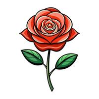 rood roos bloem vector illustratie