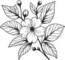 Arabisch jasmijn bloem tatoeëren, minimalistische schets jasmijn bloem tatoeëren, zwart en wit jasmijn bloem tekening, tekening botanisch jasmijn bloem, wetenschappelijk jasmijn botanisch illustratie vector