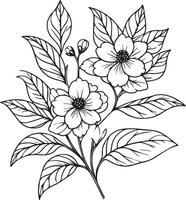 gemakkelijk jasmijn bloem, schetsen jasmijn bloem tekening, tatoeëren jasmijn bloem tekening, schets jasmijn bloem tatoeëren, gemakkelijk jasmijn bloem tatoeëren, minimalistische jasmijn bloem tatoeëren vector