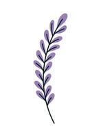 paarse plant illustratie vector