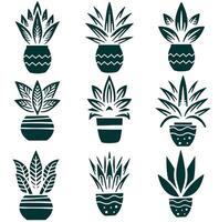 sansivera planten vector