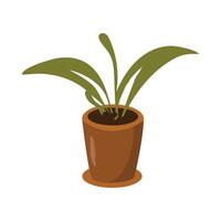 naadloos kantoor planten van decoratief exotisch tropisch groen kamerplanten en bloemen in kleurrijk potten vector
