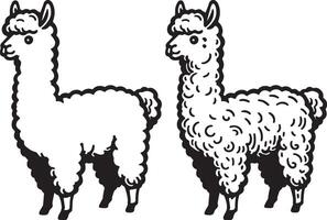 alpaca schetsen tekening. vector