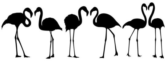 reeks vector flamingo vogelstand silhouet icoon illustratie