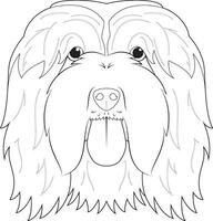 gebaard collie hond gemakkelijk kleur tekenfilm vector illustratie. geïsoleerd Aan wit achtergrond