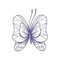 delicaat vlinder met patronen Aan de Vleugels, gemakkelijk, zoet, licht, romantisch. illustratie aanschouwelijk hand getekend in lila inkt in lijn stijl. geïsoleerd eps vector voorwerp