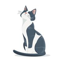 schattige kat illustratie vector