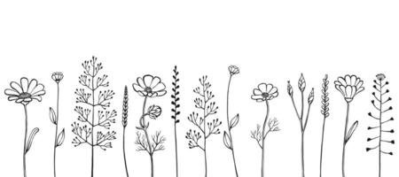 bloemen kader gemaakt van kruiden en wilde bloemen. hand- getrokken bloemen elementen. vector illustratie