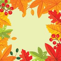 herfst bladeren, vector illustratie wit achtergrond