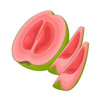 illustratie van guava plak vector