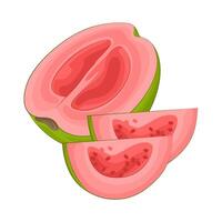 illustratie van guava plak vector