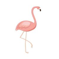 flamingo exotische vogel vector