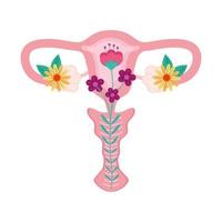 vagina met bloementuin vector