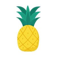 vers ananasfruit vector
