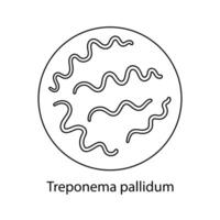 ziekmakend bacteriën. bacterieel micro-organisme. microbiologie, infographics. hand- getrokken tekening stijl. vector