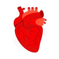 menselijk hart. de hart met de veneus systeem. cardiologie, anatomie concept. vector illustratie