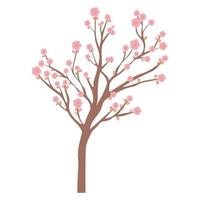 sakura boom ontwerp vector