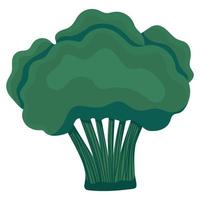 groene broccoli icoon vector