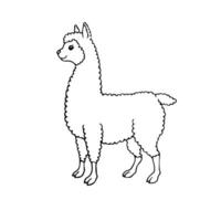 vector hand- getrokken tekening schetsen lama alpaca