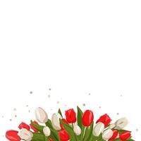 voorjaar banier met wit rood tulpen voor woorden en tekst. vector achtergrond sjabloon met bloemen voor ontwerp, groet kaart, kader, bord, folder, uitverkoop, poster