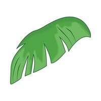 illustratie van palm blad vector