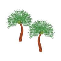 illustratie van palm boom vector